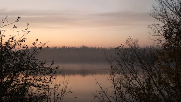 Lake Kulkwitz, Leipzig / Photo: Robert Handrow